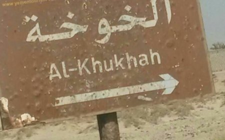 إدانات واسعة ضد تصعيد الاعتداءات الحو,,ثية على الخوخة في الحديدة ..