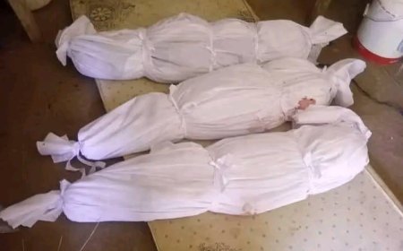 هجوم حوثي بطائرة مسيرة يقتل ثلاثة أطفال في حيس جنوب الحديدة....