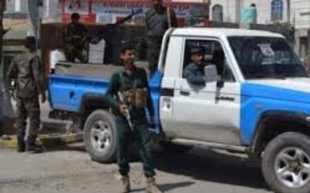القبض على شبكة من 4 أشخاص يتاجرون بالأدوية الممنوعة في تعز ..