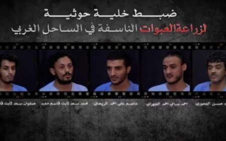 القبض على خلية حو,,ثية إرهابية بالساحل الغربي قبل تنفيذ عمليات إرهابية ..