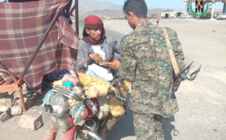 الحزام الأمني في لحج يواصل تطهير الطرق من العناصر المطلوبة..