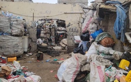 مدير عام المنصورة يوجه بإغلاق محلات الخردة بكافة مناطق المديرية...