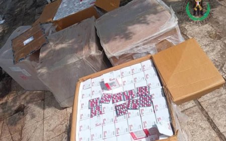 حزام طوق العاصمة عدن يضبط 255 ألف كبسولة مخدرة في نقطة تفتيش...