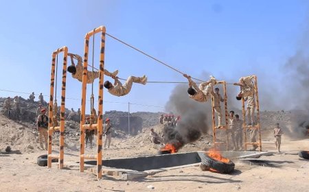 عام 2024: تتويجٌ لسجلٍ حافلٍ ومآثر خالدة في مسار البناء المؤسسي والتأهيل النوعي....