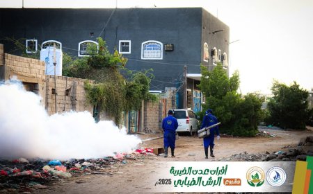 هيئة الخليج وعدن تدشن حملة رش ضبابي لمكافحة البعوض في مديرية المنصورة