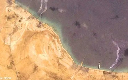 منظمة هولندية تحذر من كارثة بيئية في ساحل الحديدة جراء غارات أمريكية على ميناء رأس عيسى...