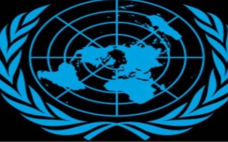 نداء عاجل تطلقه الأمم المتحدة لإنقاذ اليمن ...