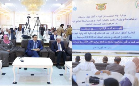 الجهاز المركزي للإحصاء يطلق الجزء الأول من الدراسات الإحصائية التحليلية المعمقة