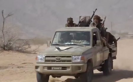 عاجل: قوات العمالقة الجنوبية تقضي على مجاميع ح،وثية مهاجمة في مأرب