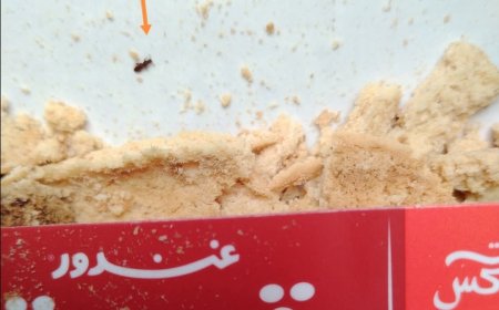 في ظل غياب الرقابة.. حشرات صغيرة داخل بسكويت يباع في عدن (صورة)