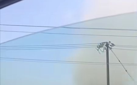 يحدث الان.. عاصفة رملية بالبريقة في عدن(صورة)