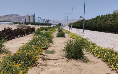 في حادثة خطيرة تهدد بيئة الاستثمار والاستقرار الأمني بالمحافظة..اختطاف ستة مدراء من مصنع أسمنت الوحدة في باتيس أبين 