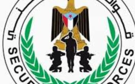 قوات الحزام الأمني في الضالع يلقي القبض على مطلوبين امنيا في محافظة الضالع ...