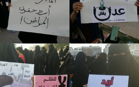 هيفاء شوكت: تحسين الخدمات الأساسية، وخاصة الكهرباء والمياه والتعليم، أولوية لدى حرائر عدن