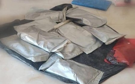 قوات خفر السواحل بحضرموت تُحبط تهريب كمية من الحشيش..