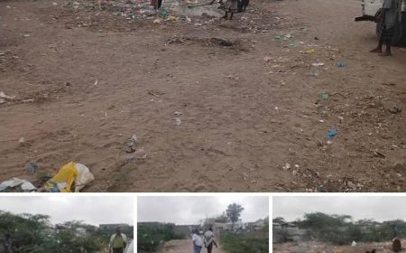 صندوق النظافة والتحسين بالحديدة.. يواصل حملة النظافة ورفع القمامة بمديريتي الخوخة وحيس...