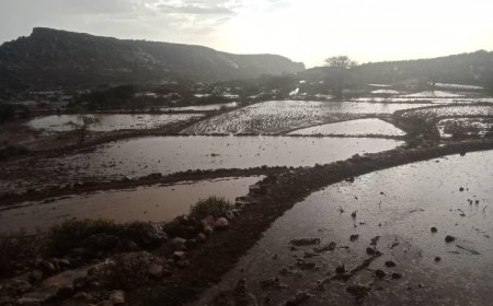 أمطار غزيرة تشهدها قرى "جرداد بني عمر" بمحافظة تعز
