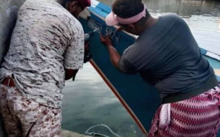 خفر السواحل في محافظة حضرموت تواصل حملة الحصر والترقيم إلى جميع المراسي والقطاعات ...