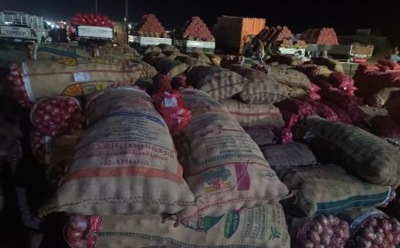 "مزارعو البصل في تهامة يواجهون أزمة خانقة: حرارة مدمرة وأسواق مغلقة تهدد المحصول"