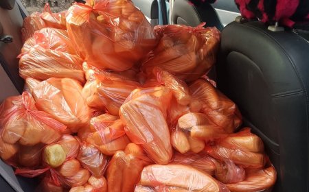 بين الغلاء والعطاء.. "قرص الروتي" يكشف وجهين مختلفين في عدن