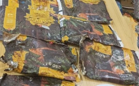 شرطة دار سعد تُحيل 13 كيلوجراماً من الحشيش المخدر إلى إدارة مكافحة المخدرات...