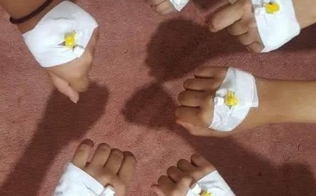 المحامي تهاني الصراري: تفشي الأوبئة في اليمن يتطلب تحركًا عاجلًا من السلطات الصحية