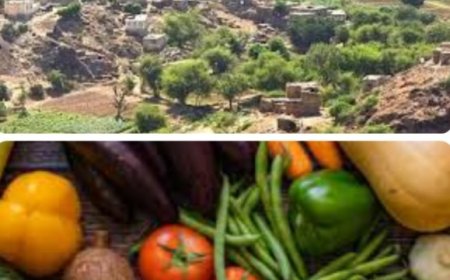 إستمرار اغلاق سوق السبت في  الضالع  يفاقم معاناة السكان...