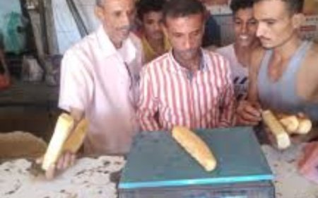 السلطة المحلية في المعلا تغلق أفران تلاعبت بالروتي وتسعيرته..