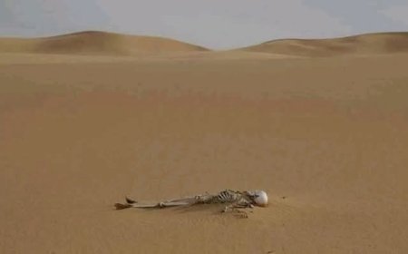 عاجل: العثور على جثة متحللة في صحراء الجوف وحالة من الغموض تحيط بالحادث