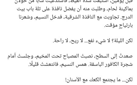 الكاتب عبدالوهاب قطران يتحدث "أنين صنعاء تحت القيظ.. بين كتمة الصيف ولسعات الناموس!"
