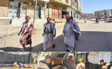 مديرية القاهرة بتعز تزوّد حي الروضة بإنارات شمسية لتعزيز الأمن المجتمعي..