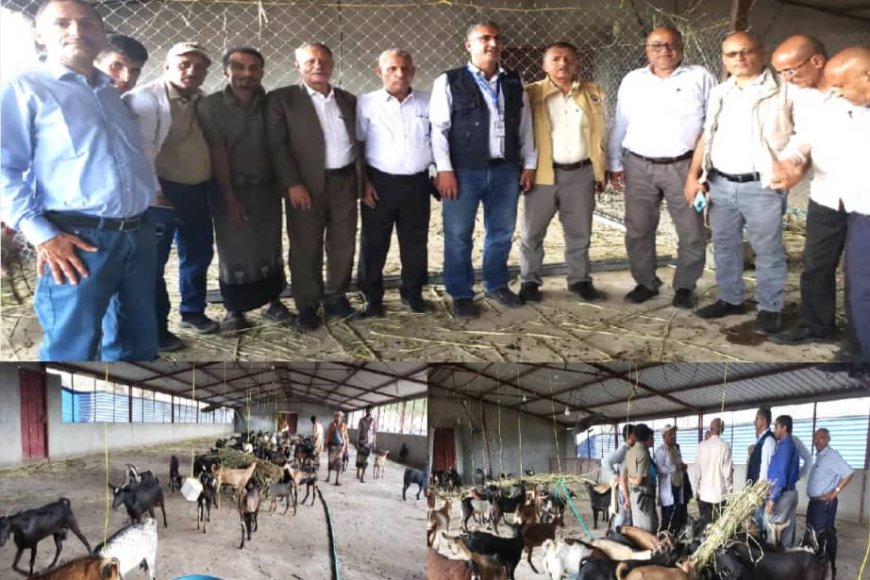 وفد من "الفاو" يطلع على إجراءات الحجر البيطري للماعز في المخا والمسراخ بتعز..