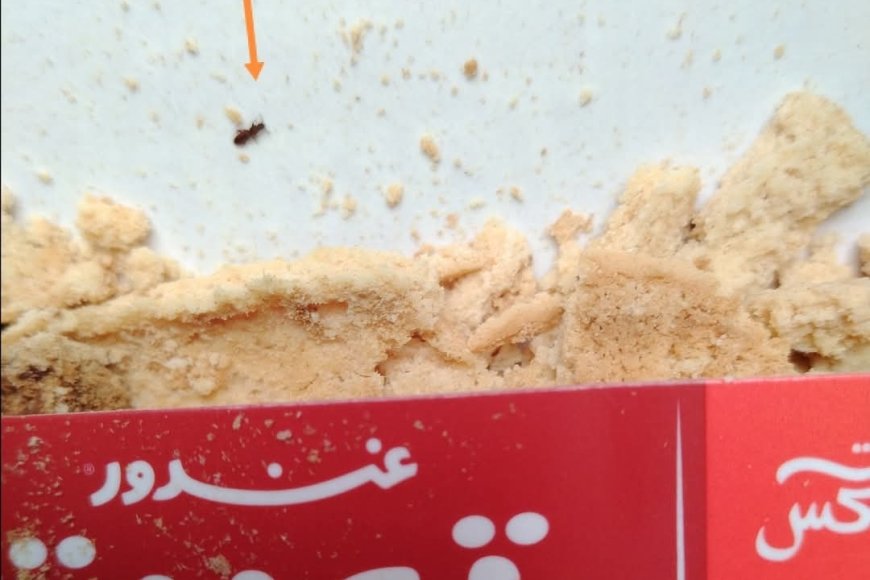 في ظل غياب الرقابة.. حشرات صغيرة داخل بسكويت يباع في عدن (صورة)