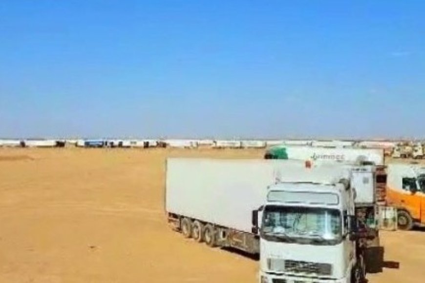 مصدروا المنتجات الزراعية يناشدون بسرعة حل تأخير برادات الفواكه في منفذ الوديعة..