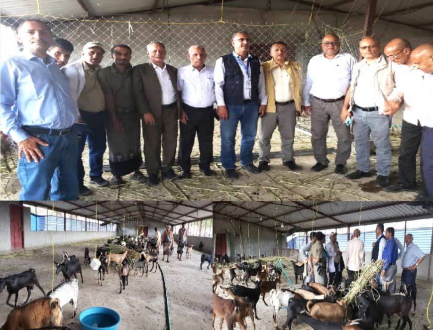 وفد من "الفاو" يطلع على إجراءات الحجر البيطري للماعز في المخا والمسراخ بتعز..