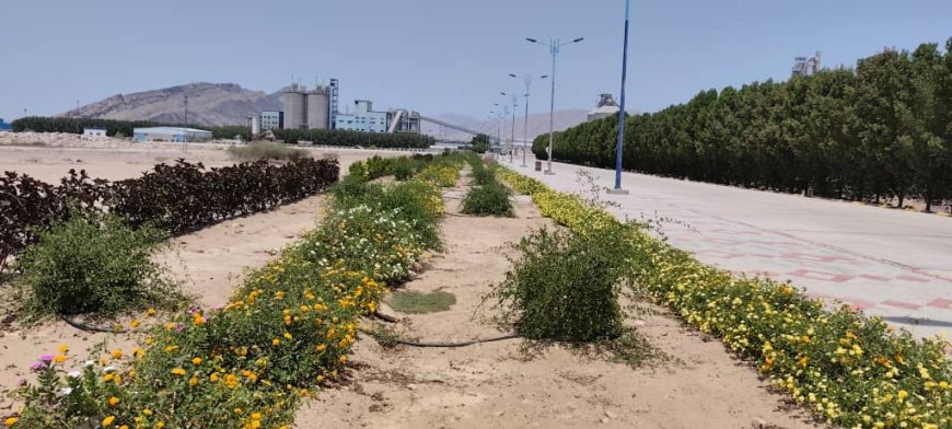 في حادثة خطيرة تهدد بيئة الاستثمار والاستقرار الأمني بالمحافظة..اختطاف ستة مدراء من مصنع أسمنت الوحدة في باتيس أبين