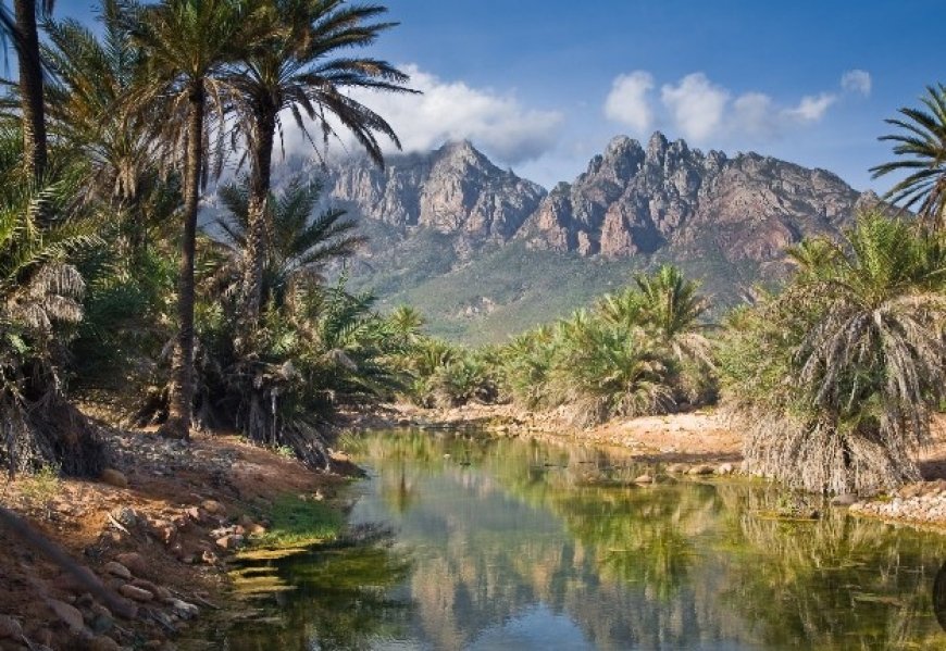 ناشط بيئي يحذر من الاستثمار العشوائي لجزيرة سقطرى، دون دراسات بيئية واستراتيجية..