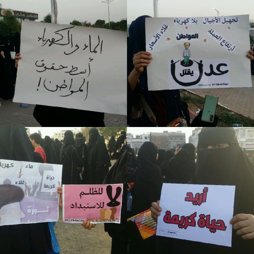 هيفاء شوكت: تحسين الخدمات الأساسية، وخاصة الكهرباء والمياه والتعليم، أولوية لدى حرائر عدن