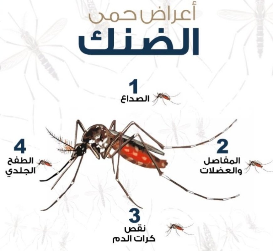 الصحفي والمساعد الطبي فهد التركي .. يوجه نصائح طبية هامة بسبب انتشار حمى الضنك
