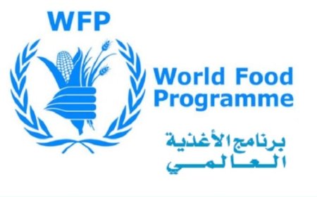 الغذاء العالمي يوقف تدخلاته لعلاج سوء التغذية بمناطق سيطرة  الحو,,ثيين..