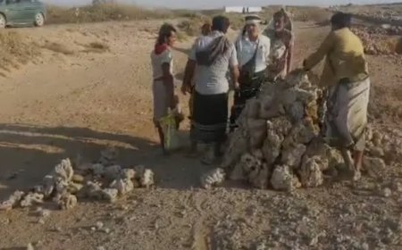 هيئة حماية البيئة بالحديدة تشدد على تطبيق قرار منع قلع الشعاب المرجانية...