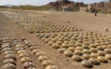 خلال شهر مايو مشروع «مسام» يسجل أعلى معدل شهري منذ 2023 بنزع 7,400 لغم ومتفجر في اليمن..