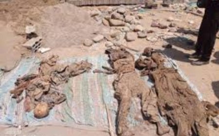 قوات أمن العاصمة عدن تعثر على جثامين جنود في منزل قيادي إرهابي...