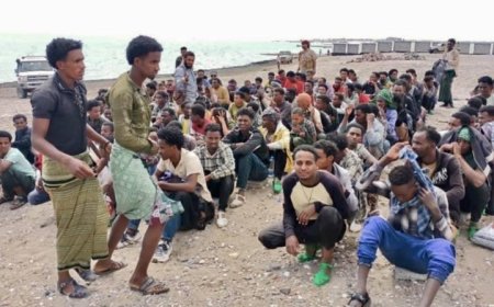 تحرير 183 مهاجراً أفريقياً وموجة جديدة من التهريب إلى اليمن...