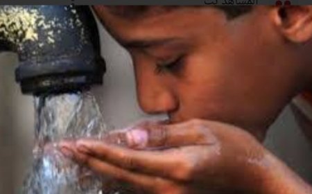 كارثة بيئية تهدد حياة آلاف السكان في حيس جنوب الحديدة ...