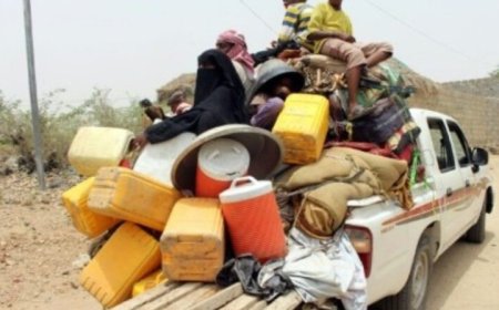 منظمة الهجرة الدولية تعلن عن انخفاض حالات النزوح الداخلي في اليمن ...
