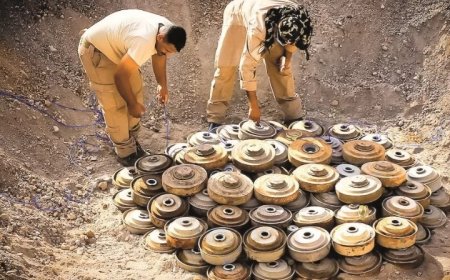 الصليب الأحمر يحذر من هذا الأمر في اليمن ...