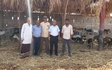 الدعيس يتفقد مشروع الحجر البيطري بالمخا ويشدد على تطبيق المعايير الصحية...