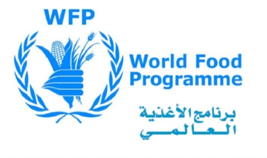 الغذاء العالمي يوقف تدخلاته لعلاج سوء التغذية بمناطق سيطرة الحو,,ثيين..