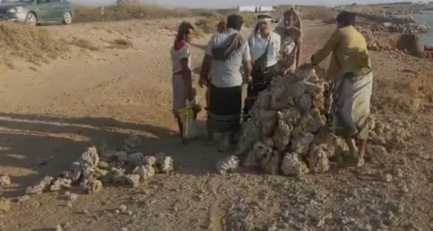هيئة حماية البيئة بالحديدة تشدد على تطبيق قرار منع قلع الشعاب المرجانية...